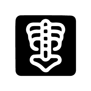 X-ray Icon